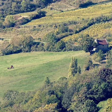 Prázdninový dům Les Billardes - Le - Jura